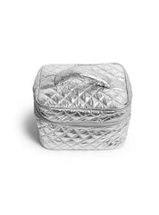 Silver Cosmetic Travel Case